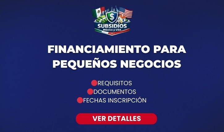 financiamiento para pequeños negocios